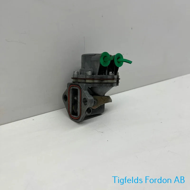 tigfelds-343924